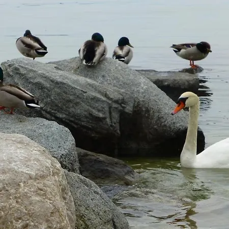 호텔 Punta Blu LAKE GARDA